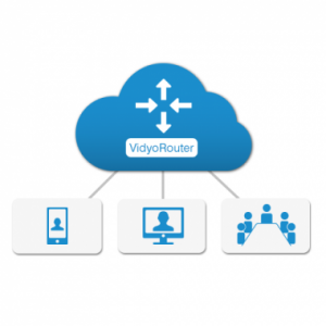 VidyoRouterScales-380x380