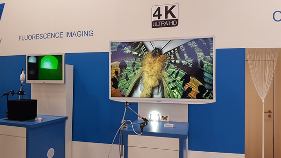 תערוכת MEDICA – כל חידושי הטכנולוגיה בעולם הרפואה